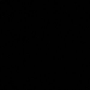 Meet your Posher, Nourhan